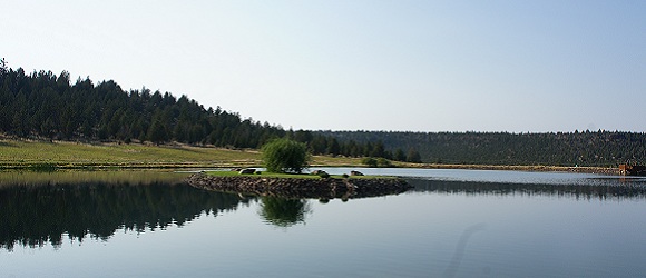 Haven Deer, Oregon, USA