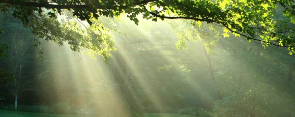 Shaktipat Initiation in Belgium and France