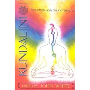 Kundalini, Evolution, and Enlightenment de John White